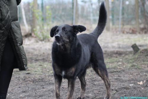 511e620b-c1b3-4e1f-9532-5ade982c99f6