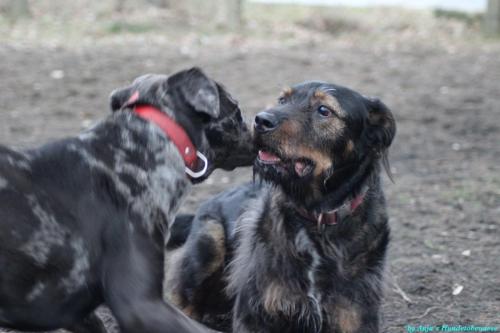 54a96c39-15c0-4ac5-bf8a-81a7cc0c0d49