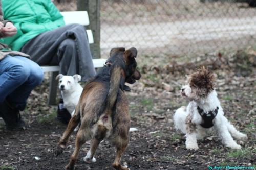 55f3db61-b978-4bce-954d-57f1925da3d6