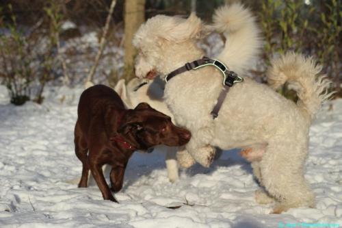 5801da40-d15b-483a-8ca3-961af4b271a0