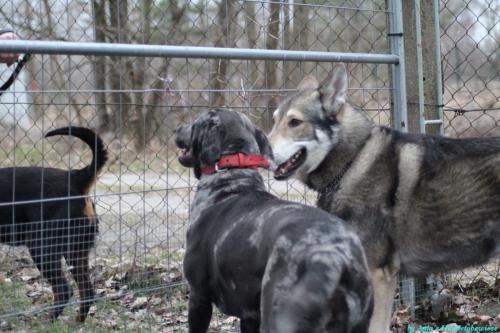 58d0921a-81b6-486a-a5ad-51b0873f7218