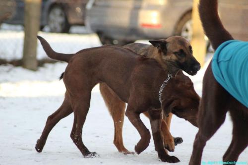 58f3580c-790f-45e0-b459-0feb37c0a255