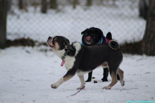 5a19a012-a7db-4457-b7da-c967a721b97f