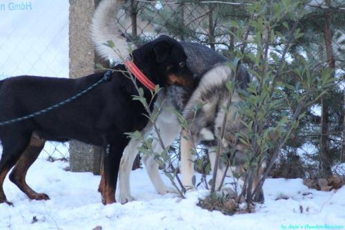 5a9ee6ec-c577-40e3-a803-0b1a9a902b7d