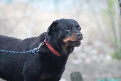 5c04740d-cee6-45d7-8611-6e024b379927