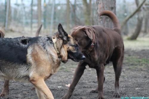 5da3dd29-1ada-45c4-8cd7-3ffdf1e08c8f