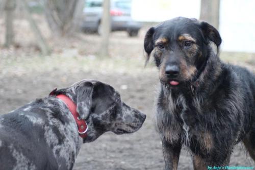 5e22b958-6b61-450f-a863-c0312c15d7c9