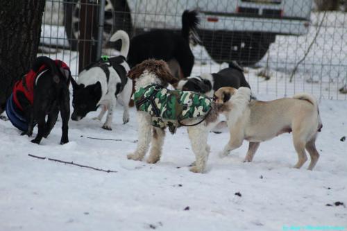 5eebc4a9-6532-478e-b576-46b9031f0e56