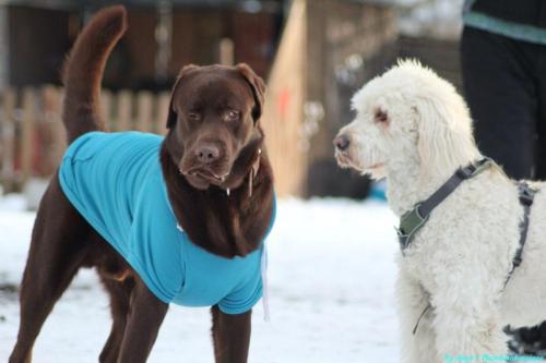 60a4439a-bbcb-484c-8b49-52e17ba09cc5