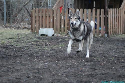 631cc4a3-c65d-407f-94bf-8a3eaac427b6