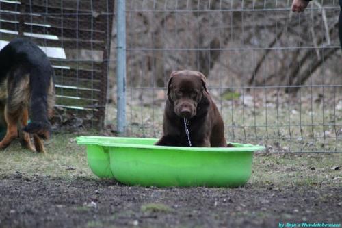 634b020d-1d90-43a5-8511-b45e2314181b