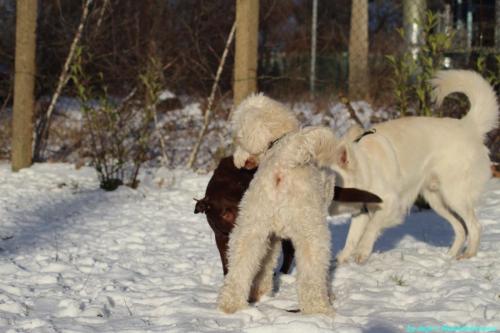 64b0b922-ffb0-43c1-a009-723cef8c7ccd