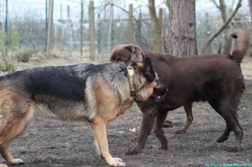 67095567-401d-4155-b6d9-d7fc8adf4b75