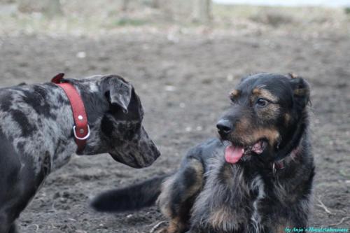 68480170-5bd8-497b-93a3-aa41b083ebfa