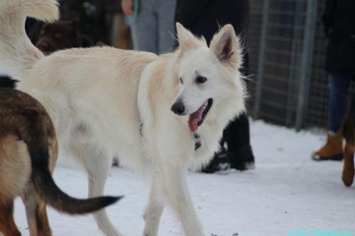 6c8945a0-3348-4b09-bfd9-396a9c7d9532