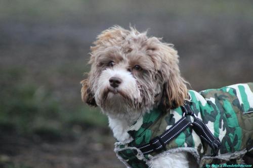 7181a04a-69b9-42b5-889c-a34314c97d63