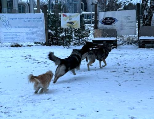 7231c573-acd7-442f-a8c7-9b8d434d7a93