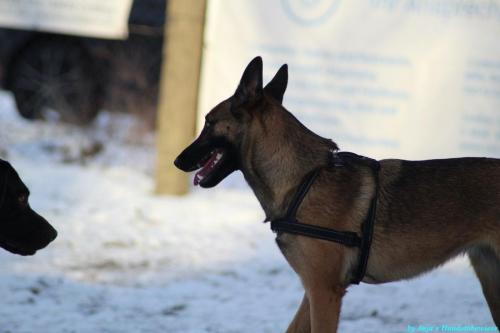 72f6c26b-a24a-4da3-8f4f-7daef32d9f2c