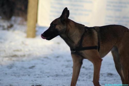 7393ac2a-7c4a-486e-a12f-323ff2061b49