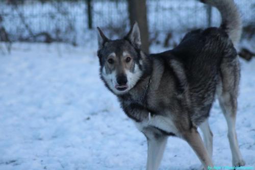 7437f1b7-f533-4682-9396-1ddad5ee21a6