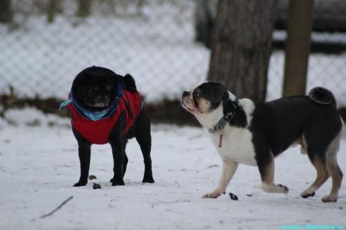 7439a8ec-3f68-416a-a89f-07152e3f6244