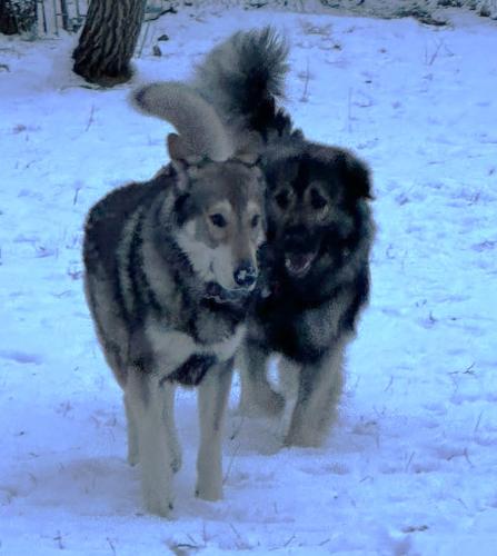 745e15fe-2c34-4475-b5c0-9c04da56226a