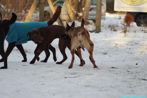 76733c9a-d6bc-4f2d-95e2-82ce4d3490d9