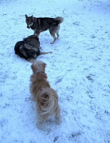 790ed9e3-b3d2-4437-8065-9ea3d8dad4e7