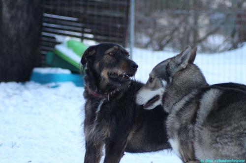 7b3c950f-11f5-498b-9988-0b723ac38ba7