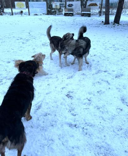 7ca5da2d-9e7c-4ae2-8de7-c2c93f5006e3