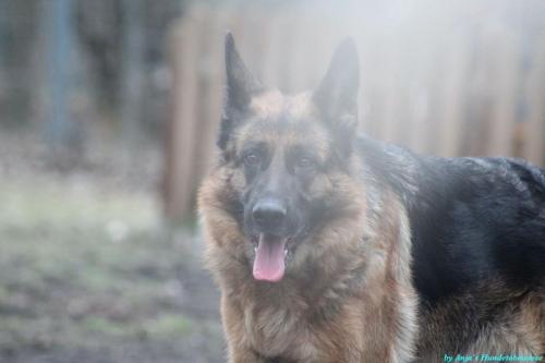 7d29d436-3cf6-49f9-b77f-7bfeac543b72