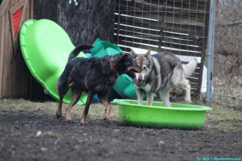 816c5725-6d98-462d-b668-d3c154318e3c