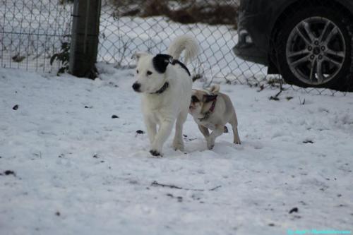 822dd7ec-87ae-42b6-87da-438cfa52d53e