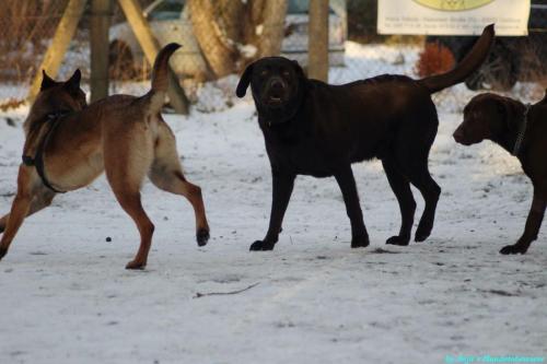 84238b28-81fb-45b3-a69c-871e5cd619e8