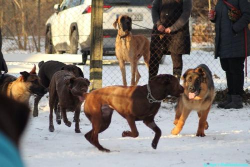 843b20c2-db8b-48b2-a498-29998718b8dd