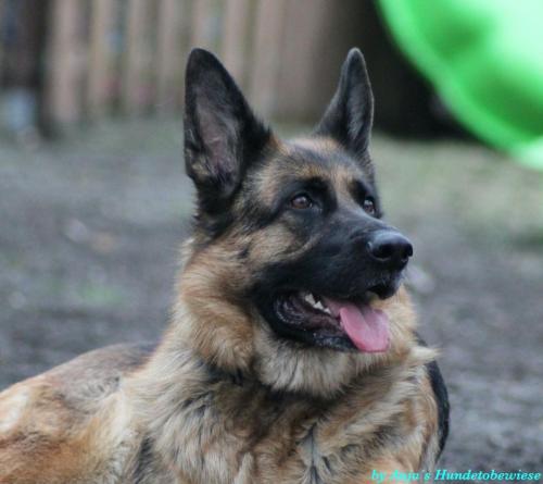 84ed1ef7-5db8-41b9-b778-1fcef642c505