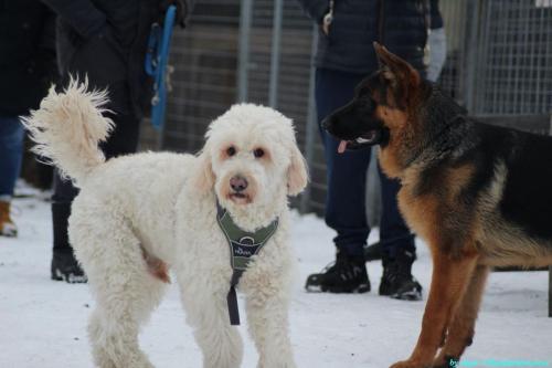 85b15fcf-2d3b-4d1d-83a9-d9b0a6ba103c