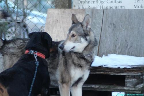 8d19d62c-dfc3-47ff-8361-58a72b701593