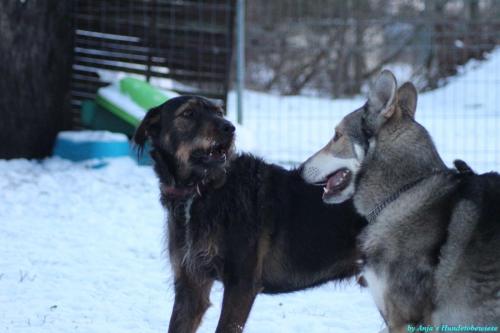 91236fcd-cf75-431b-bd04-491ac408672a