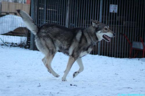 92950cb7-b135-4980-b78d-059acc0f191e