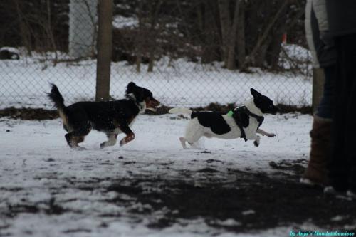 9351e554-6064-4d7b-8b08-65fec508d81a