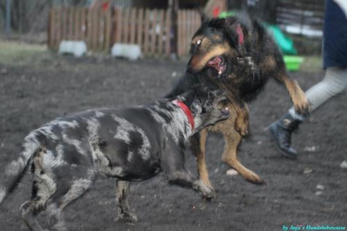 93810675-0bf4-4d9d-ae3d-ed9f6f7074a1