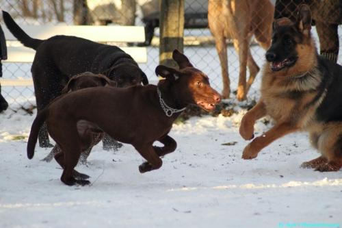 939820ac-c08c-4bcc-9662-c4140bc4b786