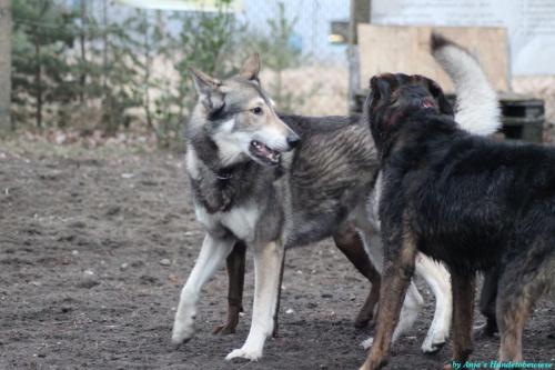 95ca8716-127d-4b05-98b8-b3918b8da358