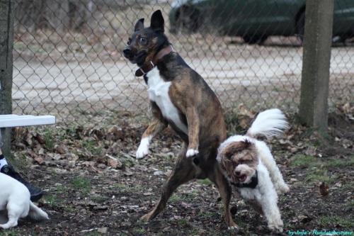 962a1299-cc4a-499f-9117-b91496e06354