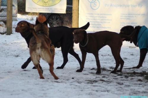 984d9130-5907-45ca-97a4-5ff0881b7641