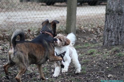 9b337b7c-8c25-447e-82f8-72cb3cfffeaf