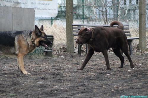 9c2c0b0e-5843-48c5-a8ae-ae1db126c1cf