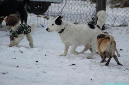 9e171eeb-0f91-4c63-ba9d-9685769a0a5c