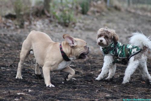 9fce059a-0f9d-427b-a9fd-37b9290d7508